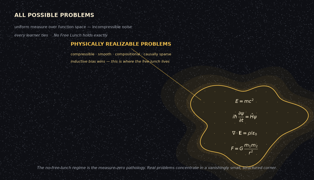 A diagram of function space: a vast dark field of grey static labelled 'all possible problems — incompressible noise', with a small warm golden island in the lower-right labelled 'physically realizable problems', filled with an ordered lattice of dots in contrast to the random noise outside.